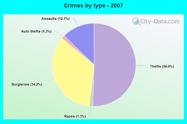 Crimes by type - 2007