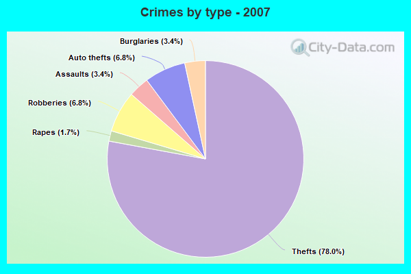 Crimes by type - 2007