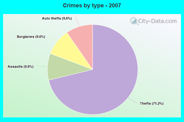 Crimes by type - 2007