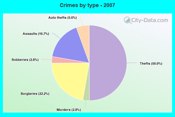 Crimes by type - 2007