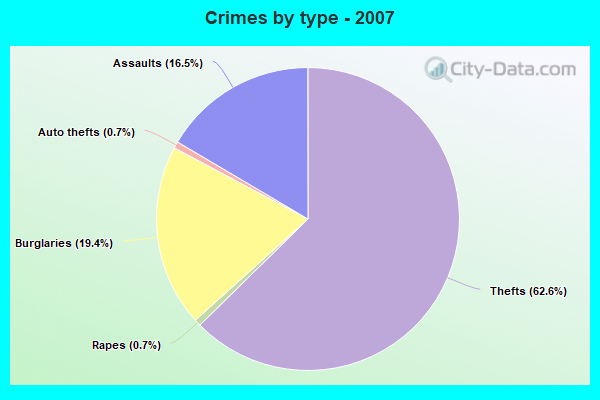 Crimes by type - 2007