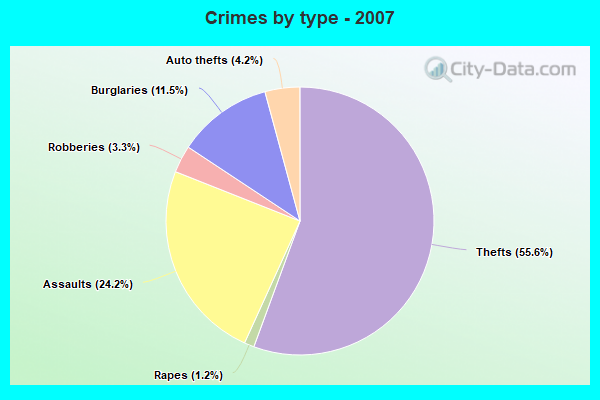 Crimes by type - 2007