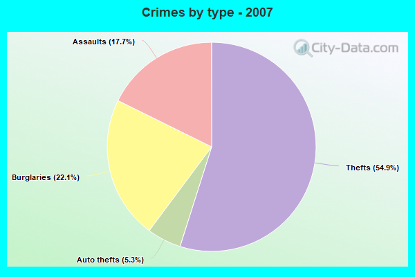 Crimes by type - 2007