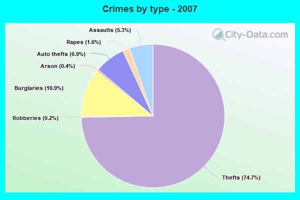 Crimes by type - 2007