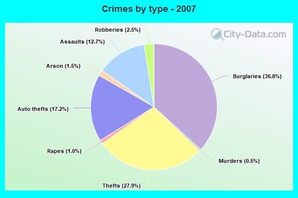 Crimes by type - 2007