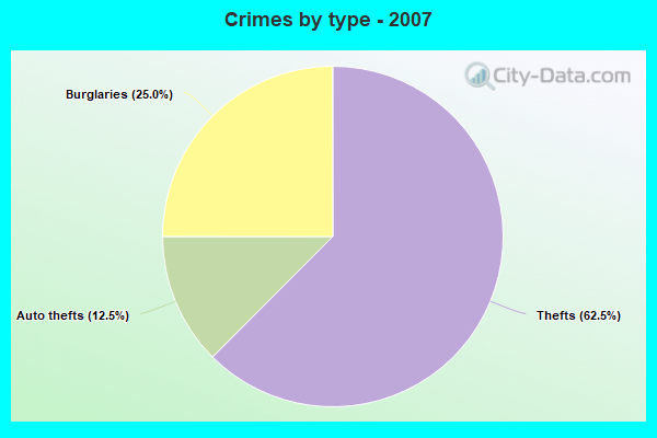 Crimes by type - 2007