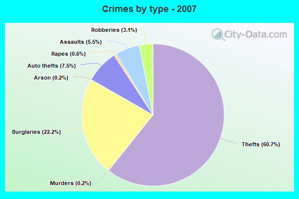 Crimes by type - 2007