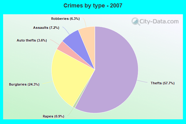 Crimes by type - 2007