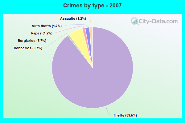 Crimes by type - 2007