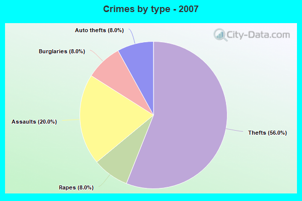 Crimes by type - 2007