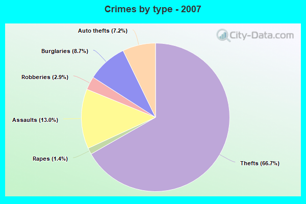 Crimes by type - 2007