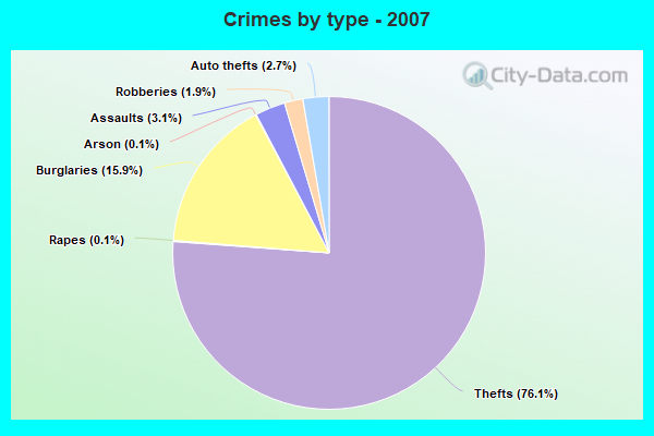 Crimes by type - 2007