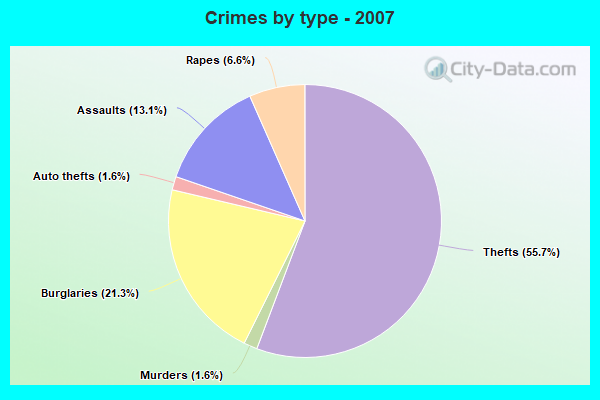 Crimes by type - 2007