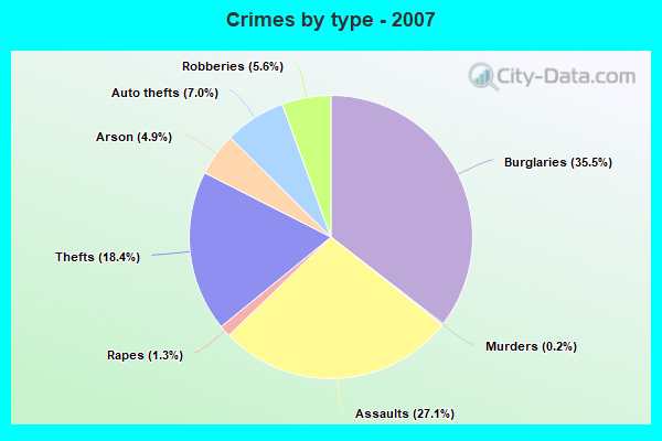 Crimes by type - 2007