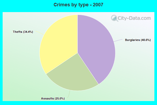 Crimes by type - 2007