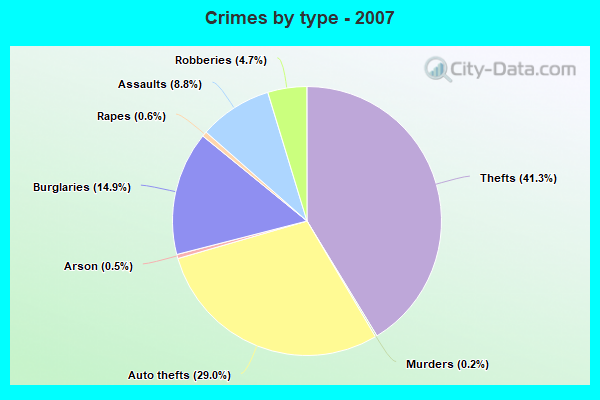 Crimes by type - 2007