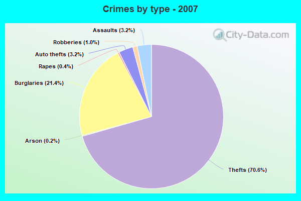 Crimes by type - 2007