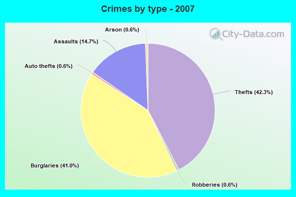 Crimes by type - 2007