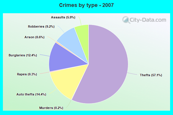 Crimes by type - 2007