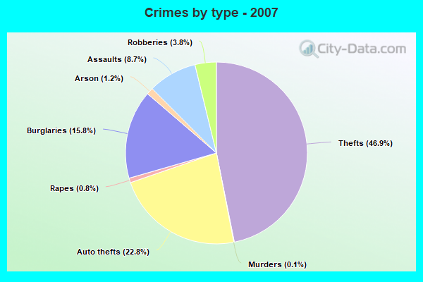 Crimes by type - 2007