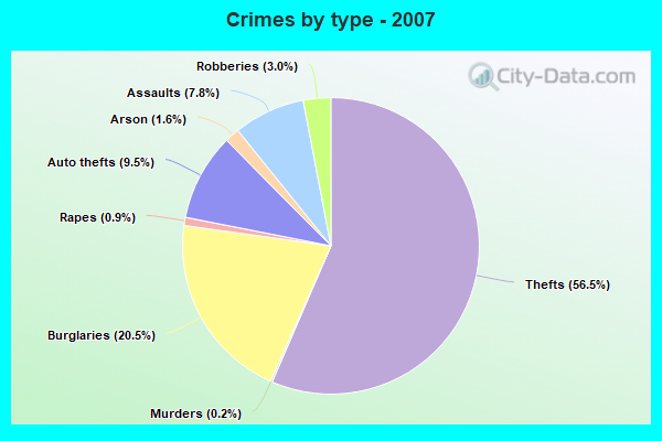 Crimes by type - 2007