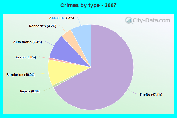 Crimes by type - 2007