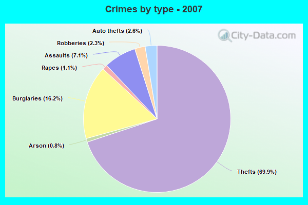 Crimes by type - 2007