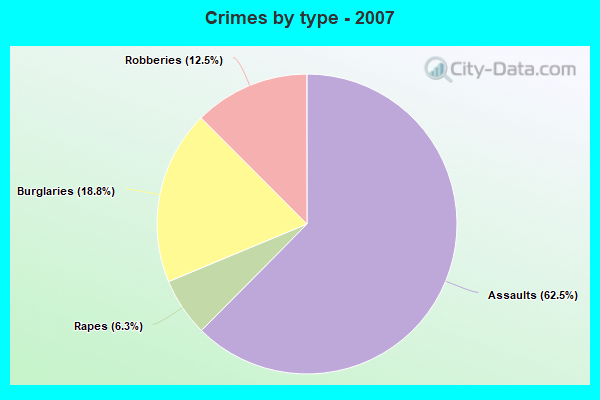 Crimes by type - 2007