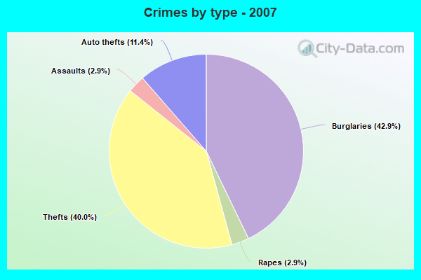 Crimes by type - 2007