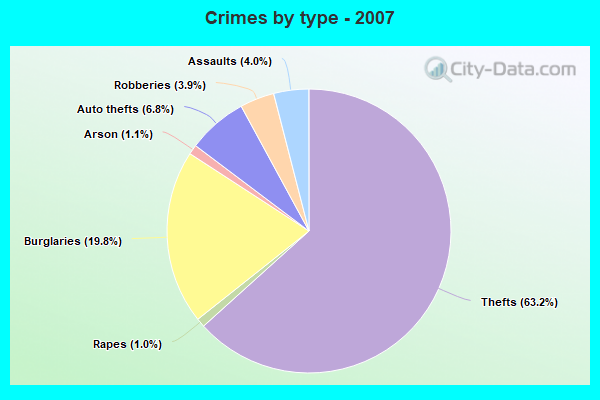 Crimes by type - 2007