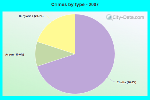 Crimes by type - 2007