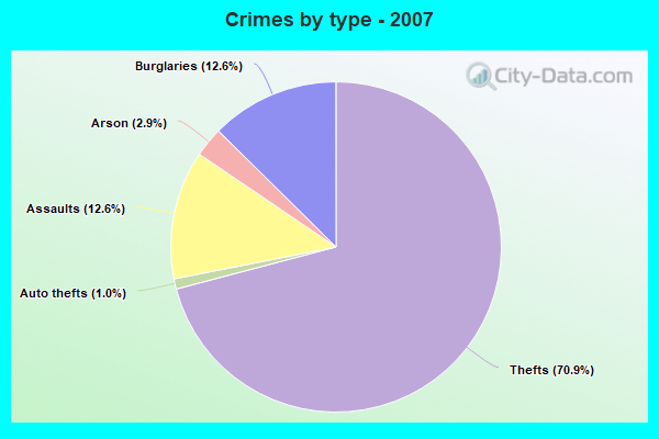 Crimes by type - 2007