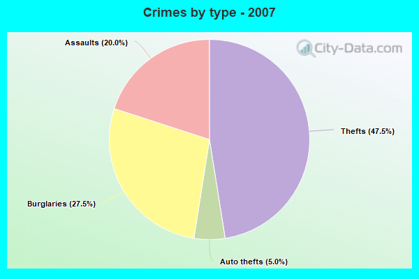 Crimes by type - 2007