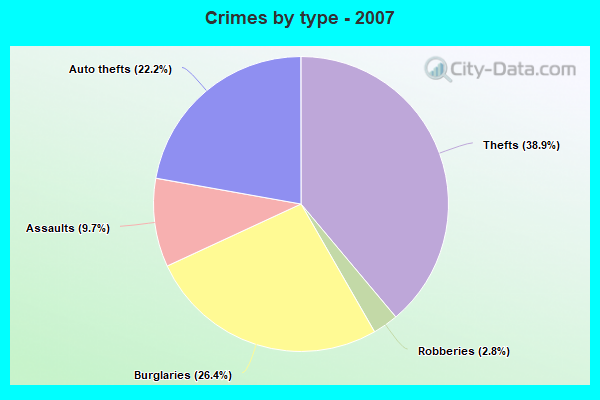 Crimes by type - 2007