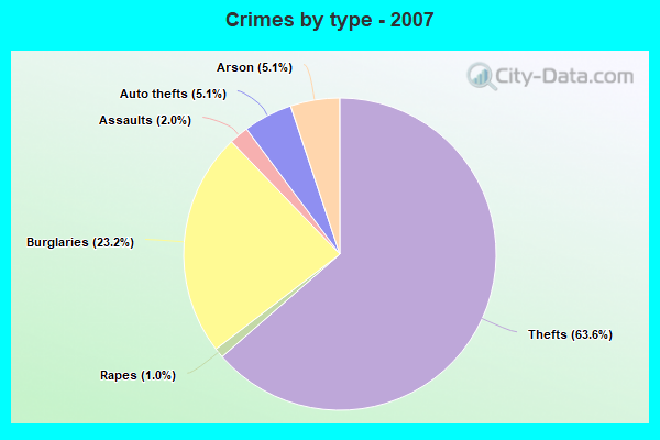 Crimes by type - 2007