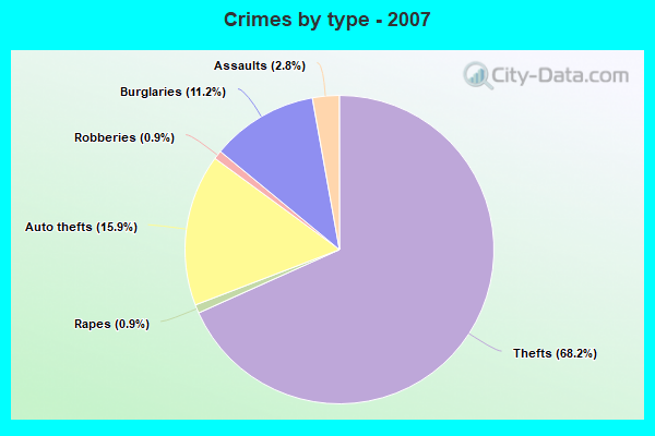 Crimes by type - 2007