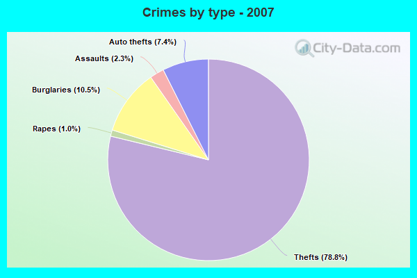 Crimes by type - 2007