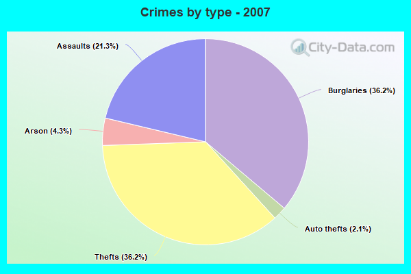 Crimes by type - 2007