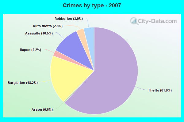 Crimes by type - 2007