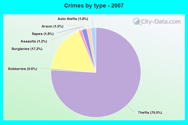 Crimes by type - 2007