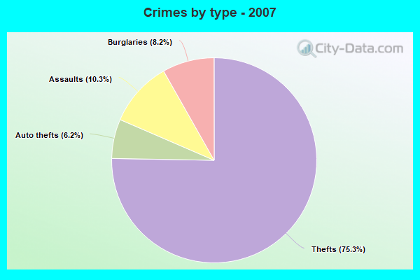 Crimes by type - 2007