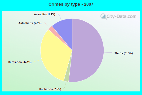 Crimes by type - 2007