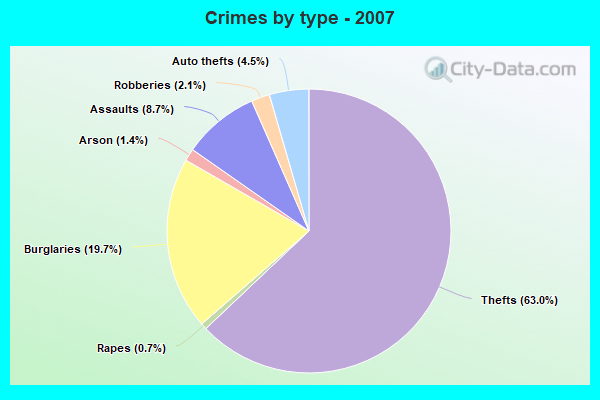 Crimes by type - 2007