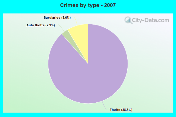 Crimes by type - 2007