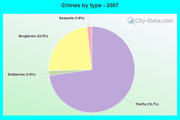 Crimes by type - 2007