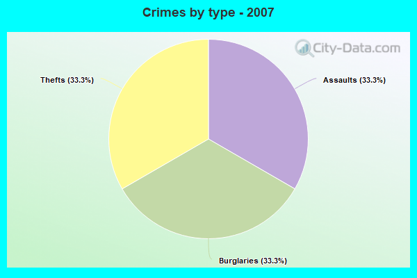 Crimes by type - 2007