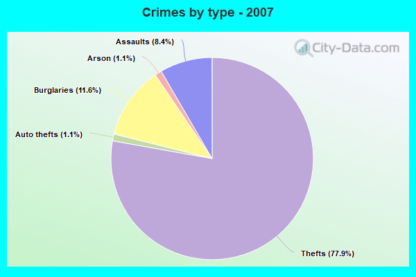 Crimes by type - 2007