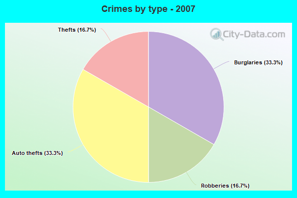 Crimes by type - 2007