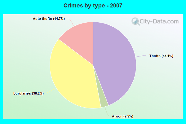 Crimes by type - 2007