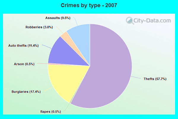 Crimes by type - 2007